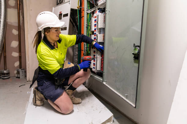 Best Electric Panel Repair  in Roan Mountain, TN