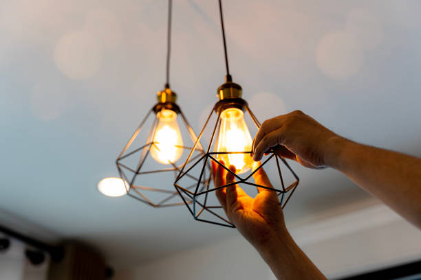 Best Generator Installation Services  in Roan Mountain, TN