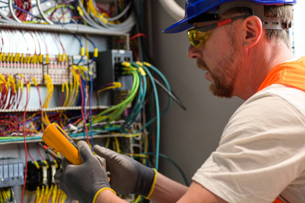 Best Electrical System Inspection  in Roan Mountain, TN